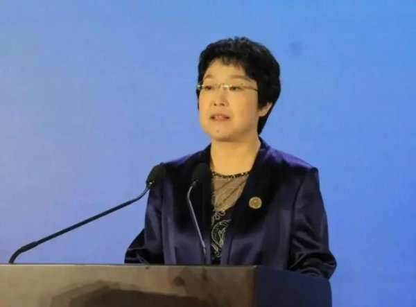 智赢策略 郭彩云任审计署副审计长 重返审计岗位