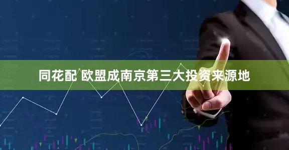 同花配 欧盟成南京第三大投资来源地