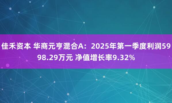 佳禾资本 华商元亨混合A：2025年第一季度利润5998.29万元 净值增长率9.32%