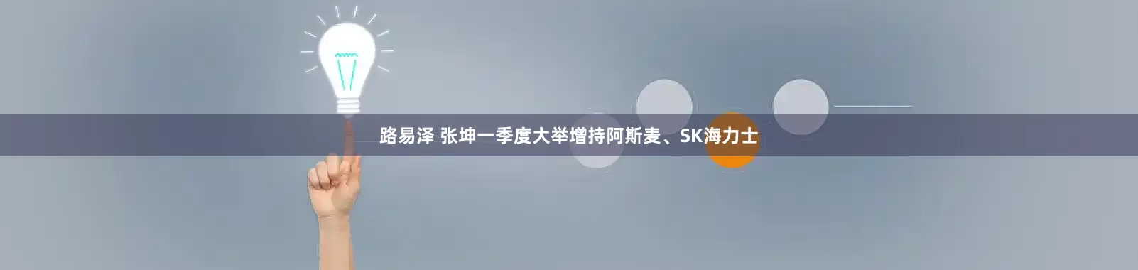 路易泽 张坤一季度大举增持阿斯麦、SK海力士